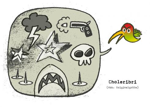 V 14 102 Choleribri